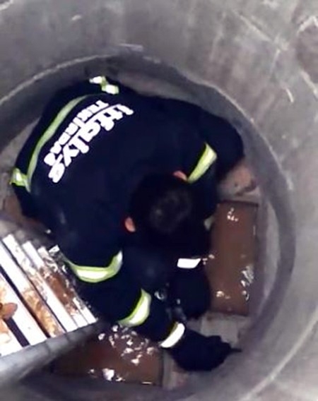 Kuyuya Düşen Köpeği İtfaiye Kurtardı, O Anlar Kameraya Yansıdı