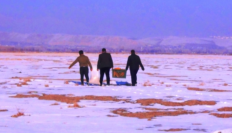 Erciş Belediyesi, Yaban Hayvanları İçin Doğaya Yem Bıraktı