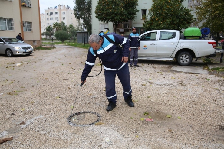 Adana’da Sivrisinekle Mücadeleye Şimdiden Başlandı