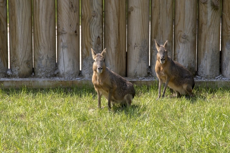 İlk Karne Hediyesi Büyükşehir’den