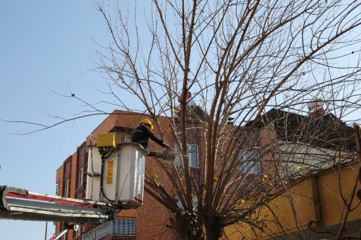 Efeler’de Tehlikeye Geçit Yok