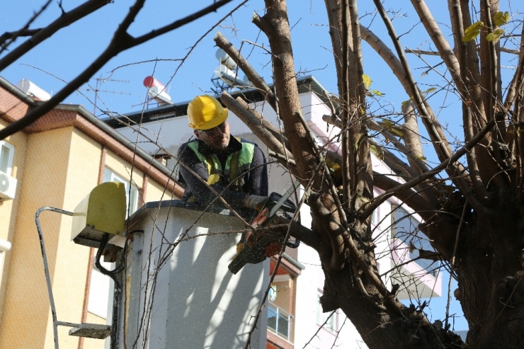 Efeler’de Tehlikeye Geçit Yok