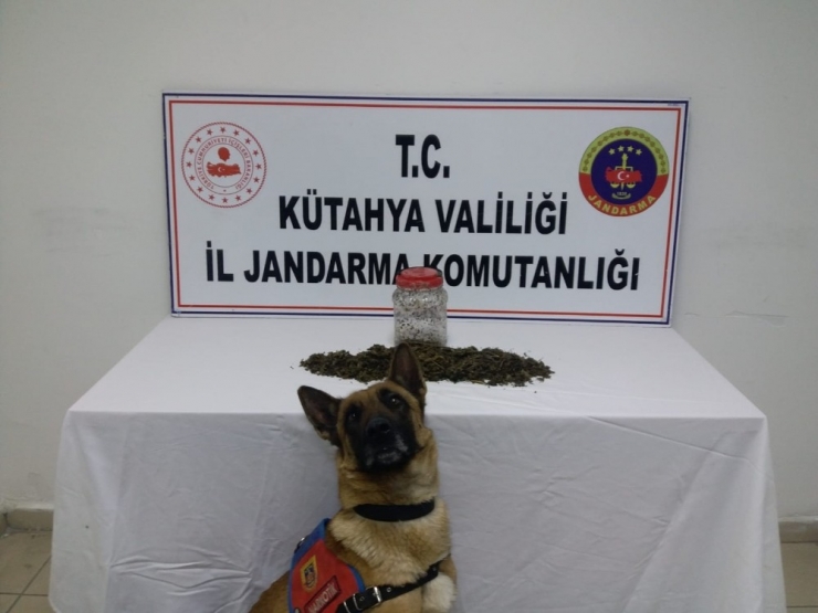 Kavanoz İçinde Uyuşturucu Ele Geçirildi