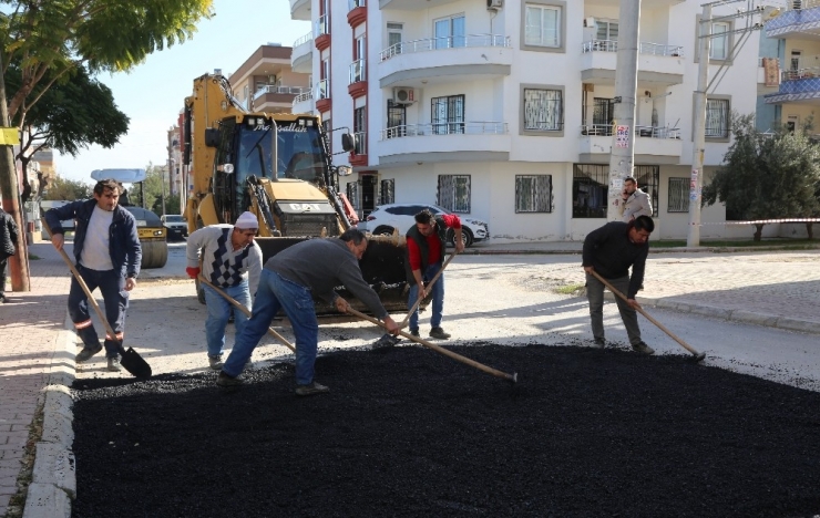 Bisiklet Tutkunları, Yolların Yenilenmesinden Memnun