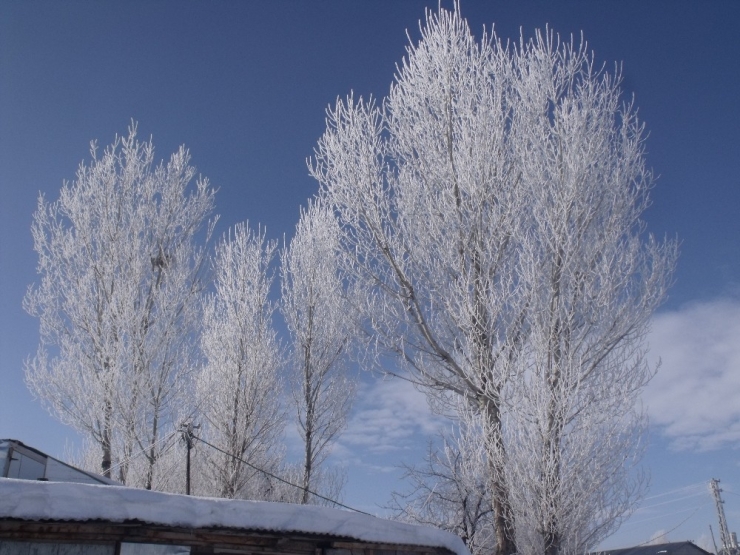 Özalp İlçesinde Durdurucu Soğuklar