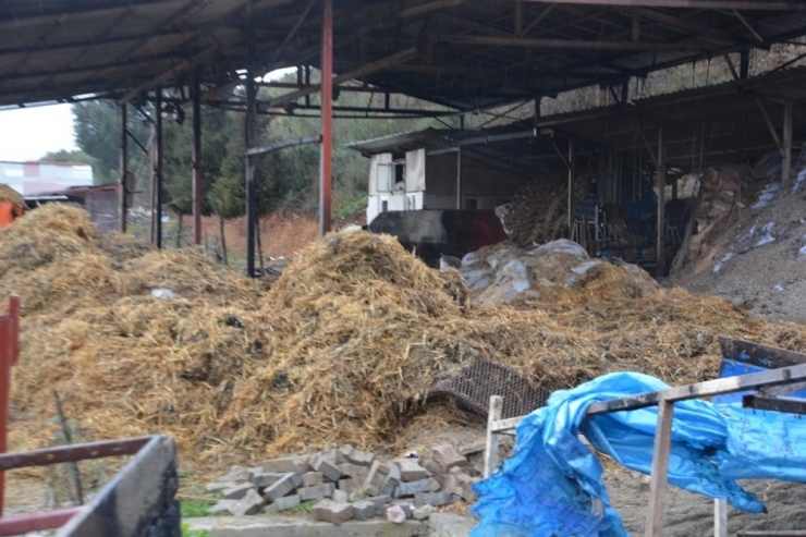 Yangın Mağduru Vatandaşın Yardımına İzmit Belediyesi Koştu