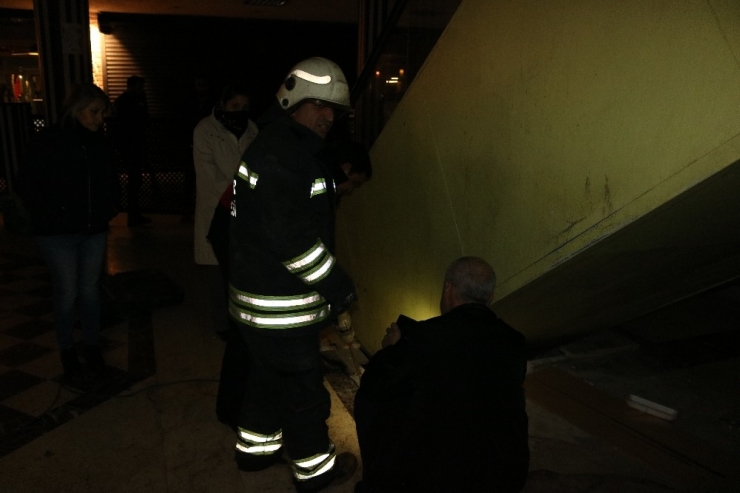 3 Gün Yürüyen Merdiven Altında Mahsur Kalan Felçli Kediyi İtfaiye Erleri Kurtardı