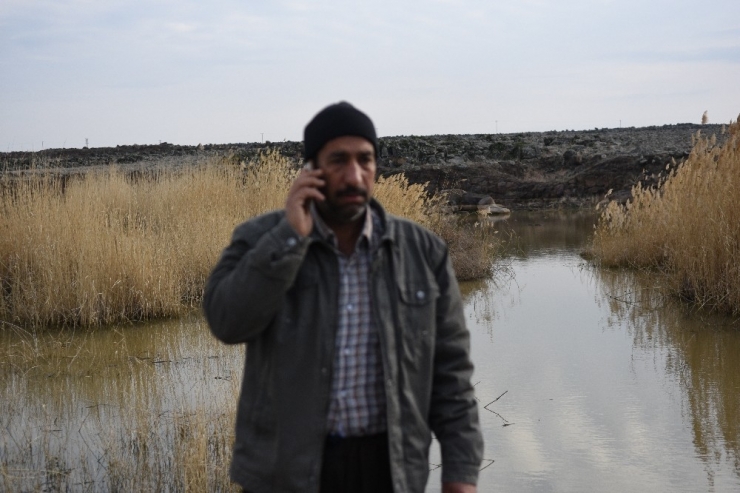 Karnelerini Aldıktan Sonra Kaybolan Kardeşlerden 24 Saattir Haber Alınamıyor