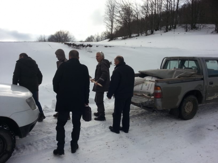 Kışın Ortasında Hayvanlar Unutulmadı