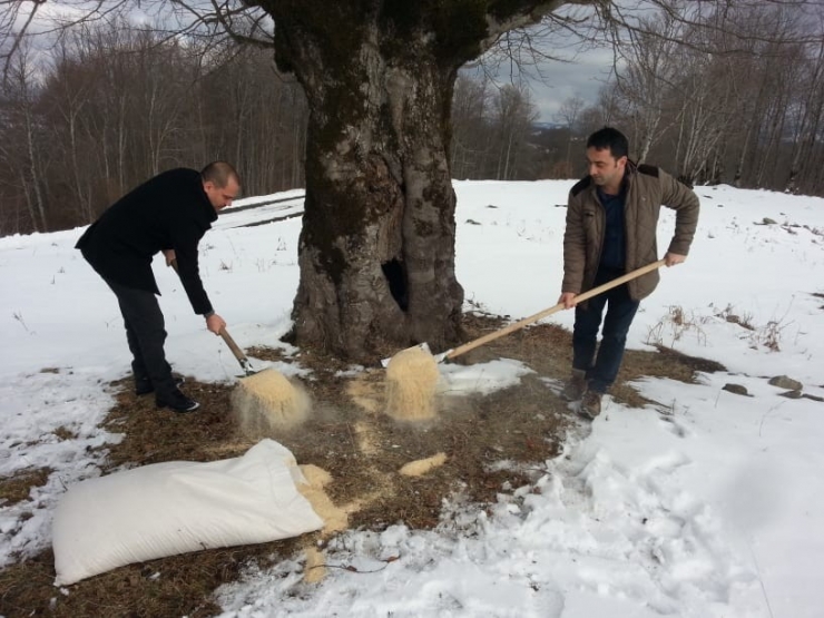 Kışın Ortasında Hayvanlar Unutulmadı