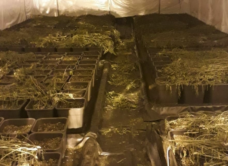 Tekirdağ’da 1 Yılda Yaklaşık 1 Ton Uyuşturucu Ele Geçirildi