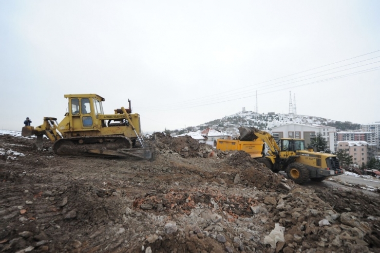 Ankara’ya Dev Millet Bahçesi