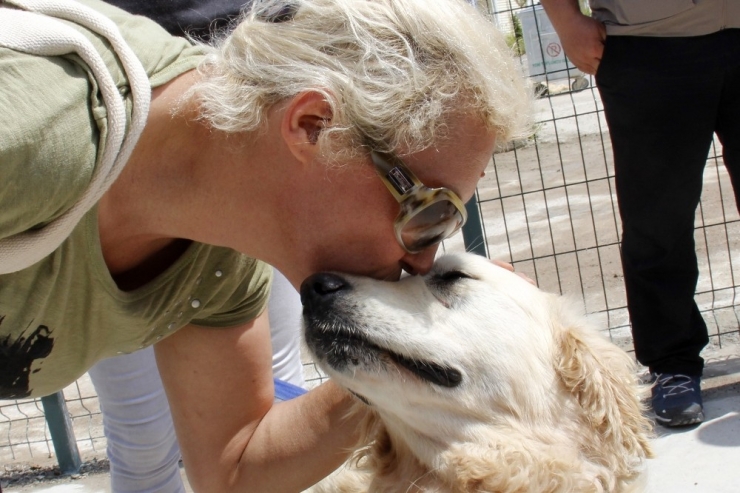 Çankaya Belediyesinden Bin 3 Hayvana Yeni Yuva