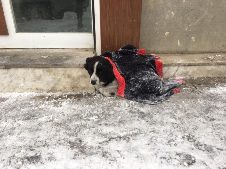 Yüksekova’da Yürekleri Isıtan Görüntü