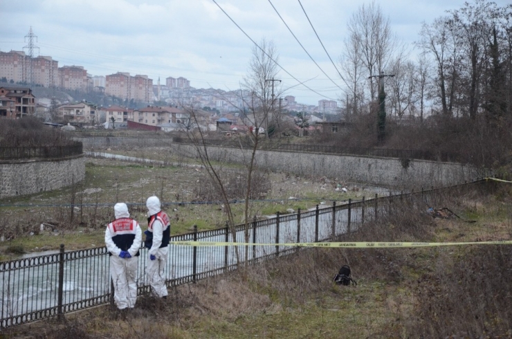Balık Tutmak İsterken Feci Şekilde Can Verdi