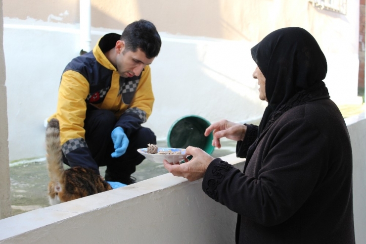 Eyüpsultan’da 2019 Yılında 6 Bin Sokak Hayvanı Tedavi Edildi