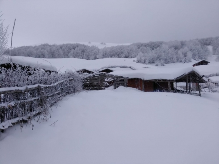 Yaylalar Beyaza Büründü, Kartpostallık Görüntüler Ortaya Çıktı