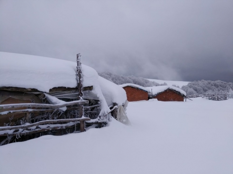 Yaylalar Beyaza Büründü, Kartpostallık Görüntüler Ortaya Çıktı
