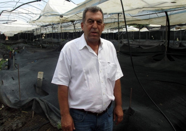 Zeytin Karasuyu Altına Çevrilebilir