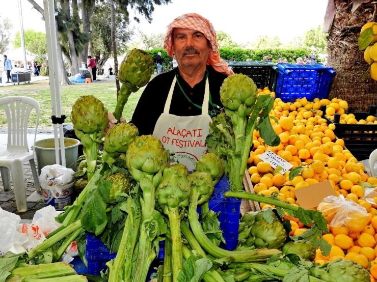 Alaçatı Ot Festivali’nde Hediyelik Eşya Standı Olmayacak