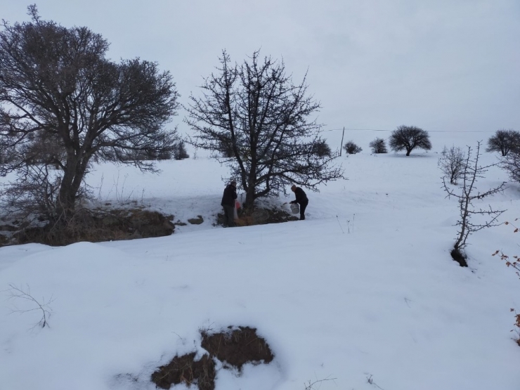 Kara Kışta Yaban Hayatı Unutulmadı