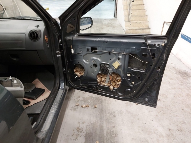 Sarp Sınır Kapısı’ndan 5 Bin 450 Adet Su Kaplumbağasını Türkiye’ye Böyle Geçirmeye Çalışmış