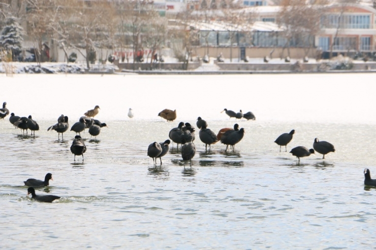 Başkent Beyaza Büründü