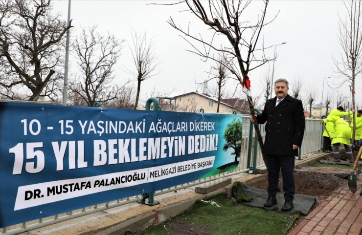 Melikgazi’de 2020 Yılı Ağaçlandırma Ve Yeşillendirme Yılı Olacak