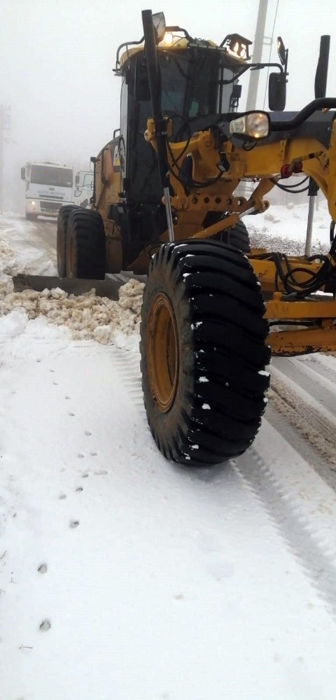 Nilüfer’de Karla Mücadele