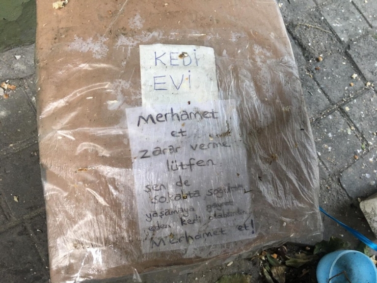 Aydın’da Soğuk Havada İç Isıtan Görüntü