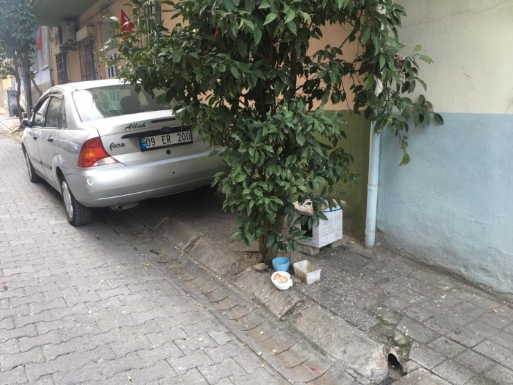 Aydın’da Soğuk Havada İç Isıtan Görüntü