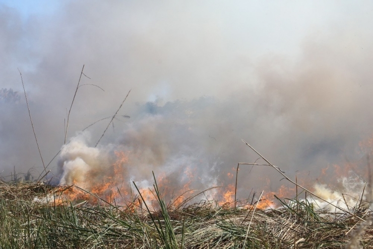 Antalya’daki Sazlık Yangını Kontrol Altına Alındı