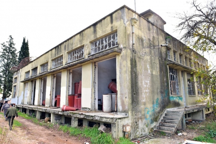 Köhne Bina Kütüphane Oluyor