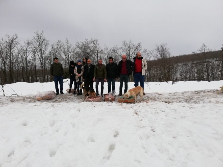 Kara Kışta Sokak Hayvanlarını Unutmadılar