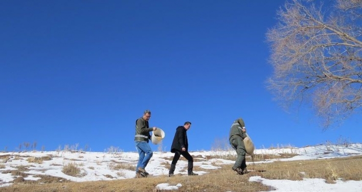 Erzincan’da Yaban Hayatına Yem Desteği