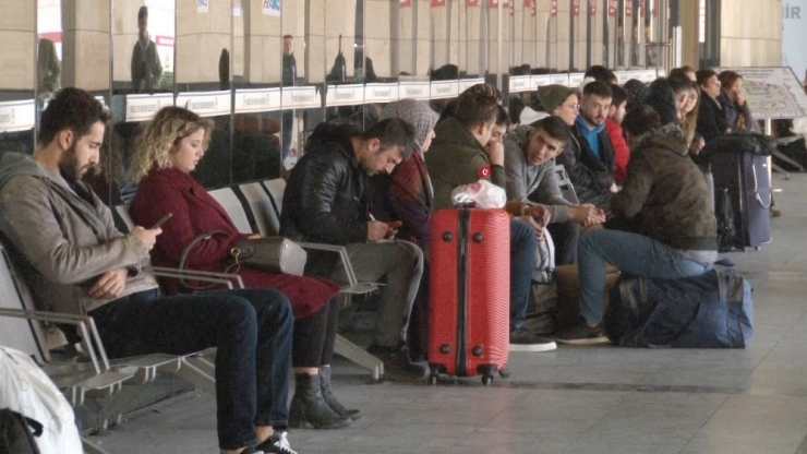 Otobüslerde Yeni Dönem En Çok Hayvan Severleri Mutlu Etti