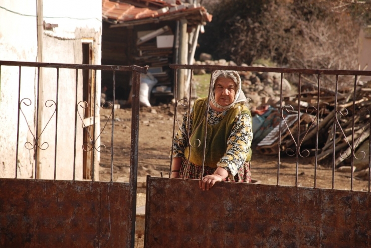 Heyelan Mağdurları Hayvanlarını Bırakıp Gidemiyor