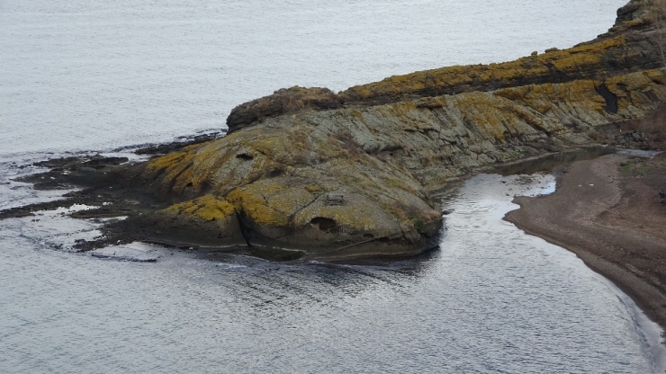 Şaşırtan ‘Timsah Adası’ Havadan Görüntülendi