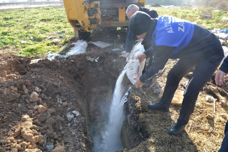 Altıeylül’de Zabıta 7/24 Görevde