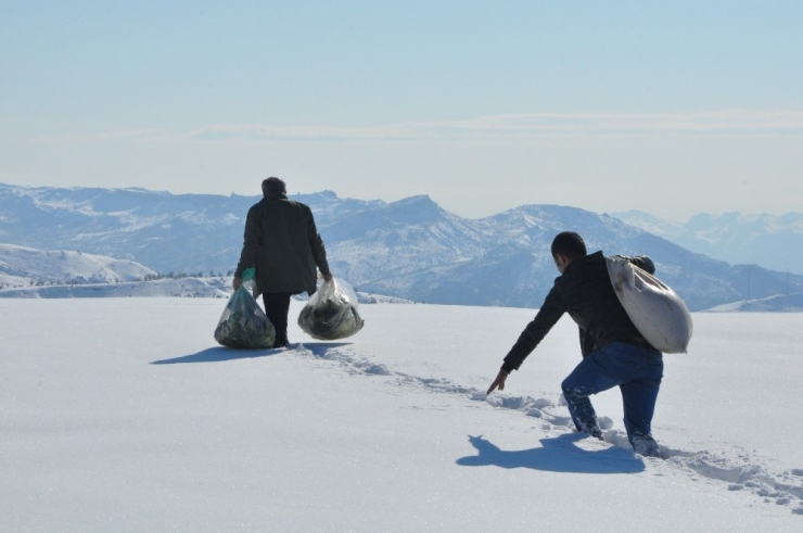 Şırnak’ta Yaban Hayvanları İçin Doğaya Yem Bırakıldı