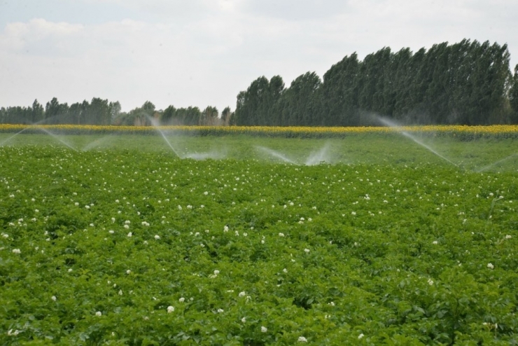 Dsi Son 17 Yılda Denizli’ye 17 Baraj Ve 10 Gölet İnşa Etti