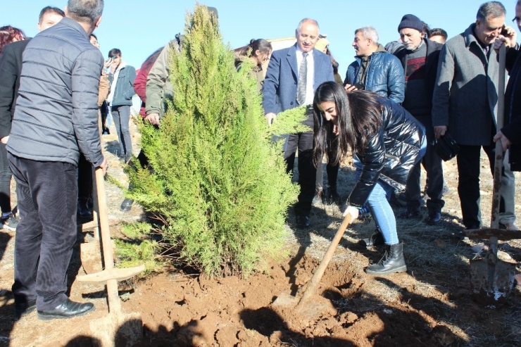 Elazığ’da Hayrettin Karaca Anısına 200 Fidan Dikildi