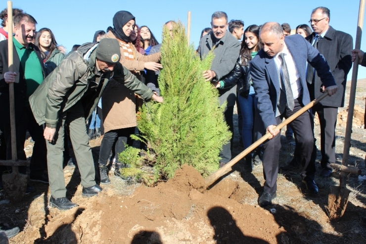 Elazığ’da Hayrettin Karaca Anısına 200 Fidan Dikildi