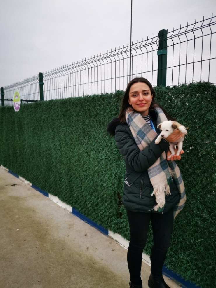 Ergene Belediyesi Hayvan Barınağına Ziyaretler Sürüyor