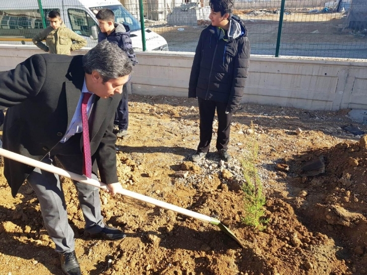 Malatya’da 100 Fidan Toprak Dede’yle Aynı Gün Toprakla Buluşturuldu