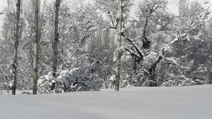 Tek Katlı Evler Kar Altında Kaldı