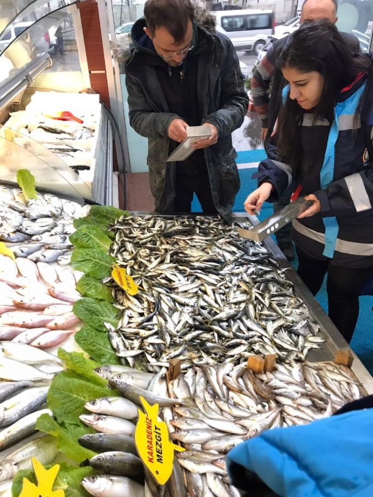 Balık Satışı Yapılan Yerlere Sıkı Denetim