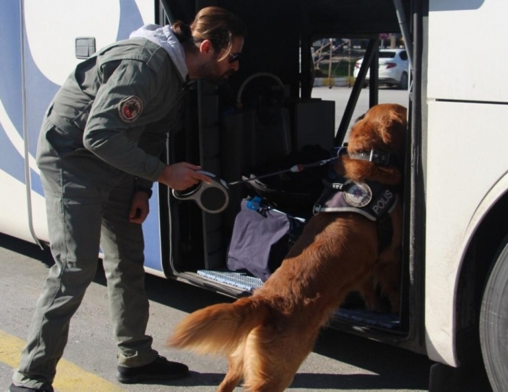 Aydın’da 2458 Şok Uygulamada 115 Bin Kişi Sorgulandı