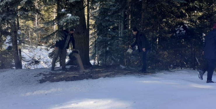 Yaban Hayvanları İçin Doğaya Yem Bırakıldı