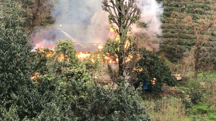 Rize’de Ahır Yangını